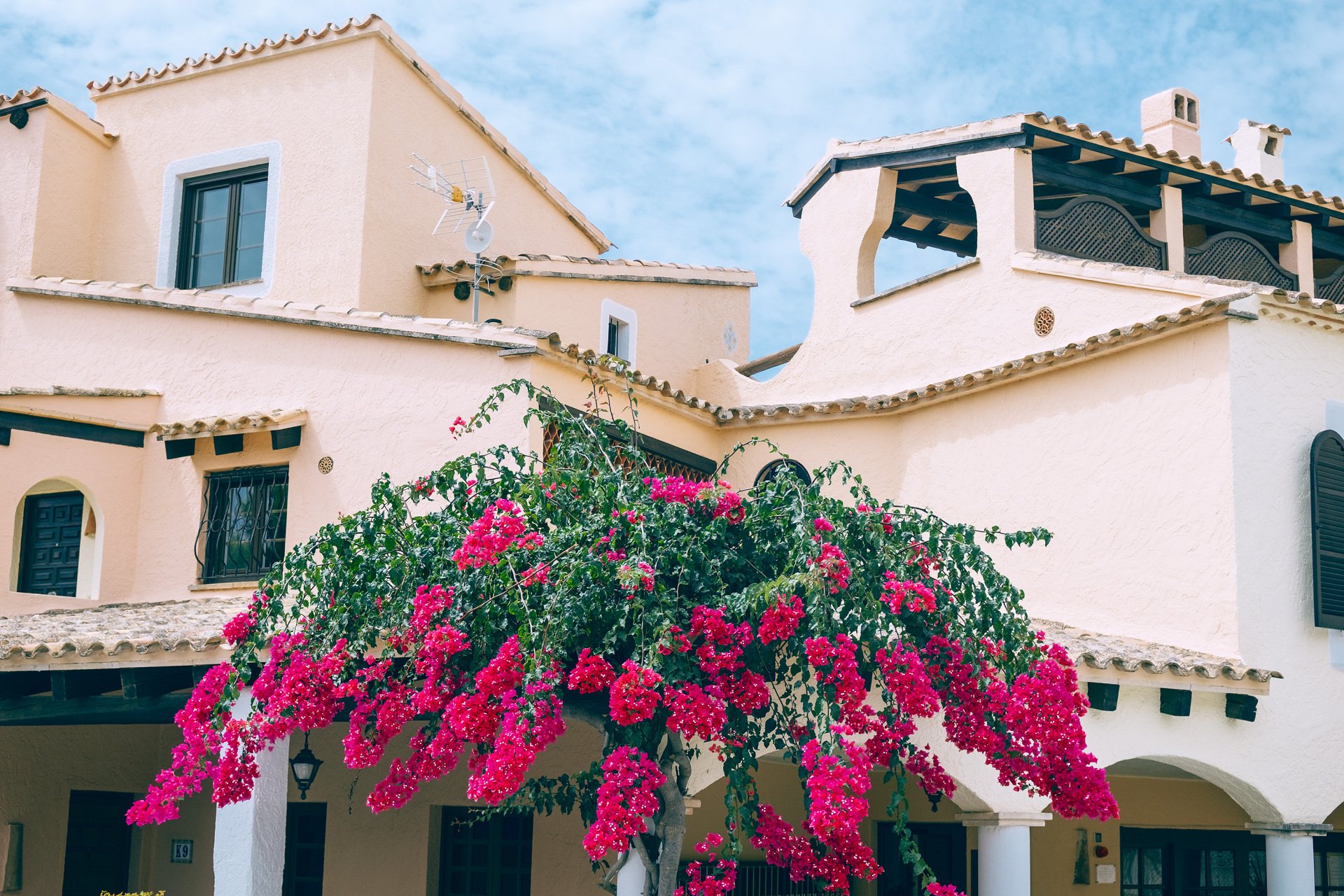 Edificio de paredes claras con tejados de tejas, ventanas oscuras, arcos y una planta de abundantes flores rosas en primer plano.