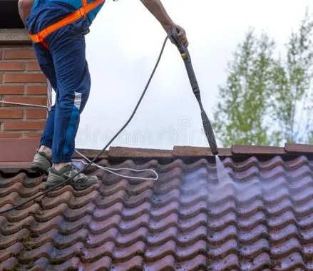 limpieza de tejados en collado villalba, madrid